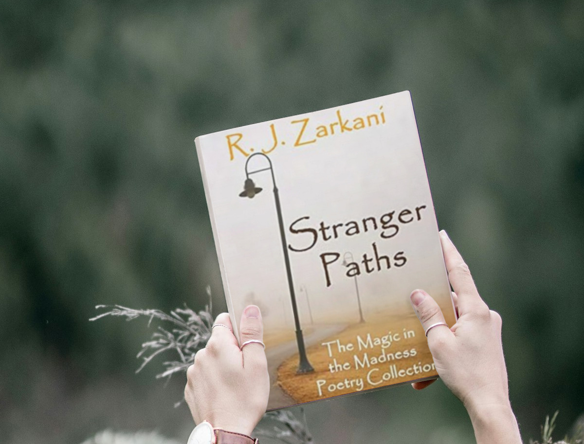 Book Review: Stranger Paths by RJ Zarkani