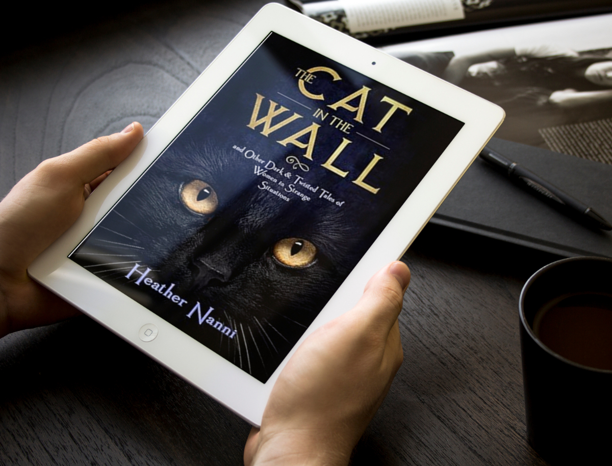 Book Review: The Cat in the Wall by Heather Nanni